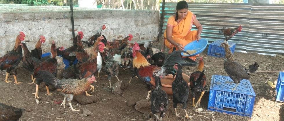 Vaishalitai engaged in poultry farming in the backyard