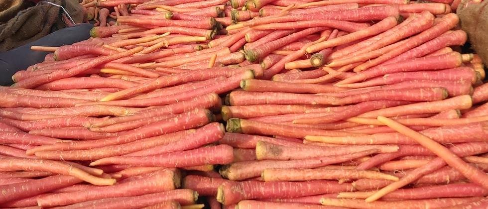 Carrot, cucumber prices stable in Solapur