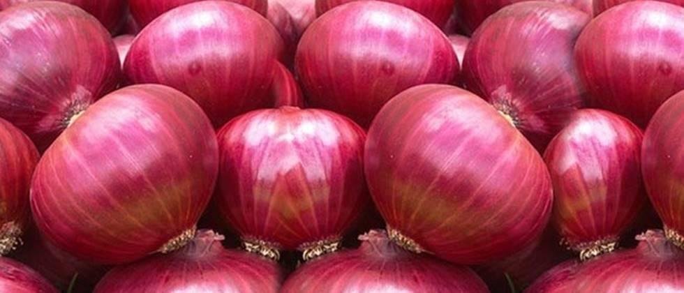 लॉकडाउनच्या भीतीने शेतकऱ्यांकडून कांदा विक्री Fear of lockdown Sale of onions from farmers