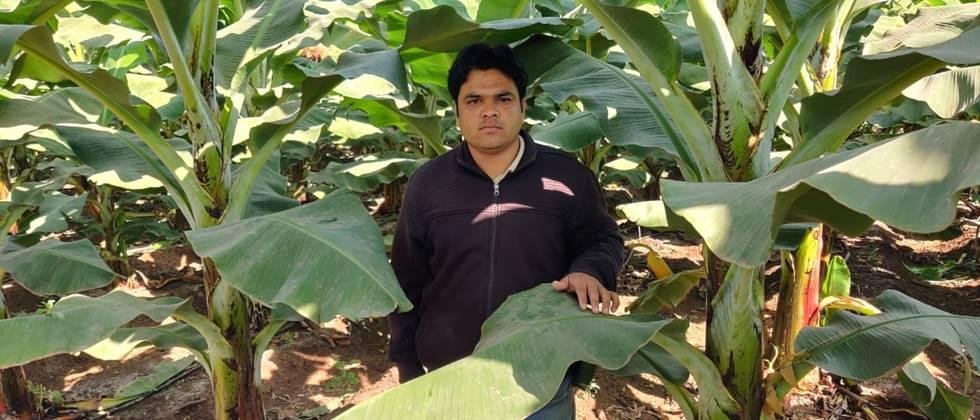 Vishal Mahajan in his banana orchard