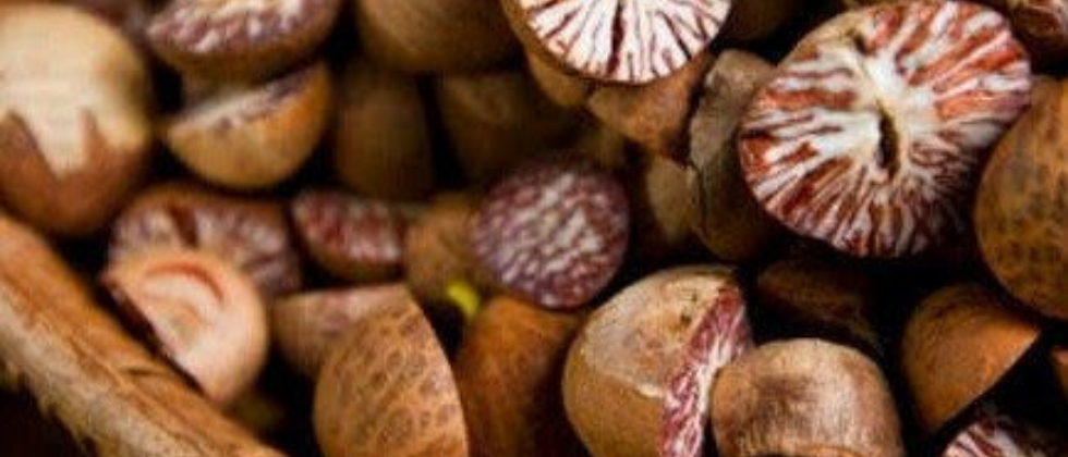  ‘Atma Nirbhar’ India imports Areca Nuts. 
